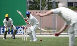 Cricket match winner market